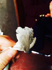 纳米汗蒸效果神奇?专家:部分波段的波长对人体有害