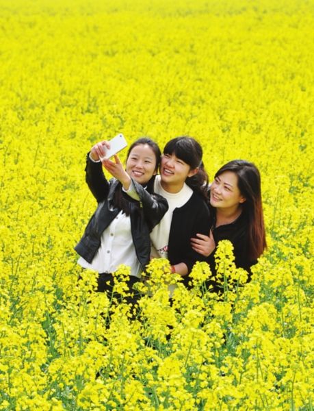 �������봺�����ź�Ӱ