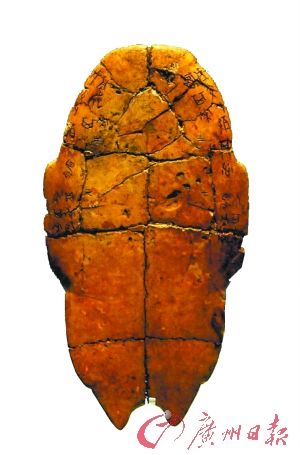 金鱼是中国原产宠物 宋代养龟成全民娱乐(图)