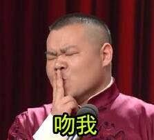 小小岳助阵小岳岳夺冠我的天呐 岳云鹏表情包被宋仲基