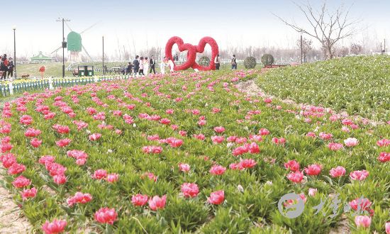 清明小长假大丰景区迎出游热潮 游客踏青赏花