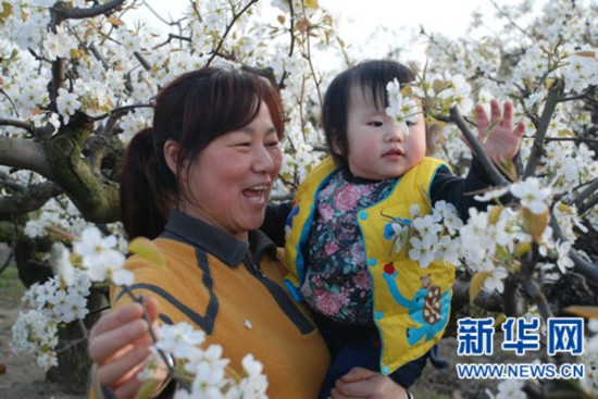 盐城盐都龙冈桃花园内春光令游客流连忘返