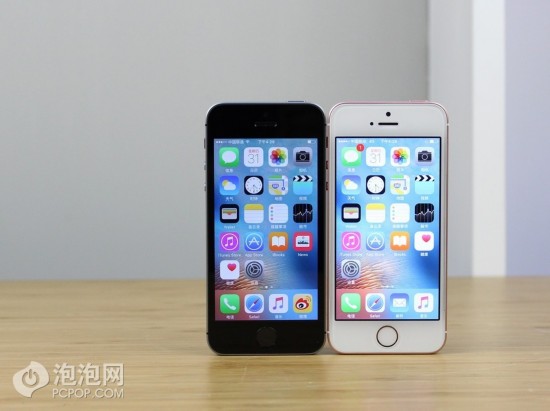 苹果 小钢炮 双色iPhone SE对比图赏(图)