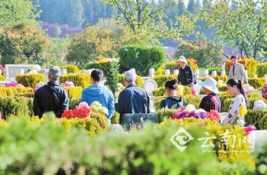 云南人口大于10万的乡镇_云南乡镇防控(2)