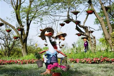 2016中国杭州·西溪花朝节浓情绽放--浙江频道--人民网