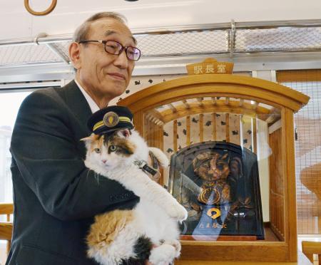 日本举行猫咪站长浮雕揭幕式 新猫站长祝福(图