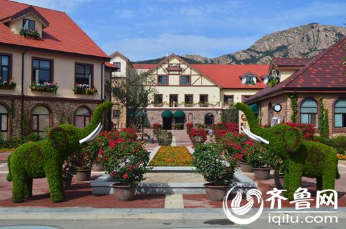 ����ʵ��̽���ൺ������ɫС���֣�С����̬�����������������������Դ���õȷ�����и��ơ�