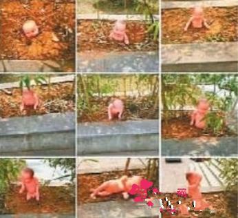 行为艺术太吓人!学校花坛长出娃娃 胆小女生绕道走(图