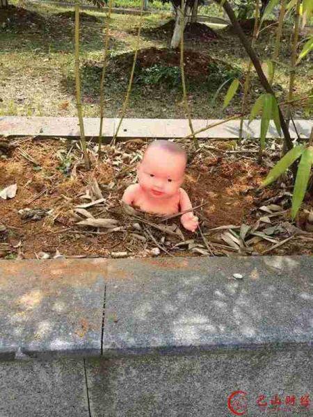  学校花坛 里 长出娃娃  吓坏晚上经过的女同学(组