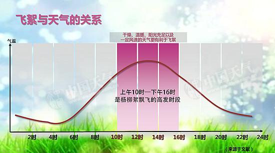 华北回暖飞絮飘舞 教你几招防止过敏