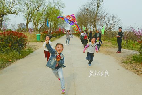 正是赏花踏青季 乡村旅游受盐城市民热捧