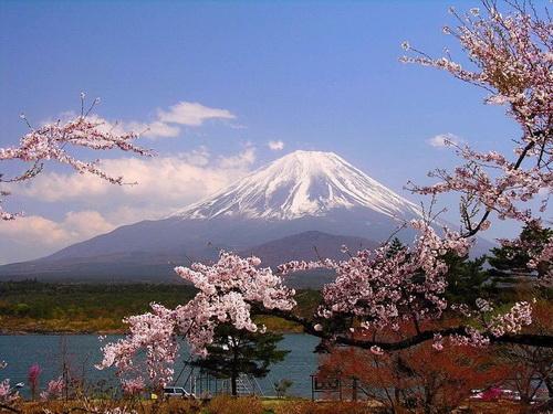 推介赴日游 日本国家旅游局将设7个海外办事处
