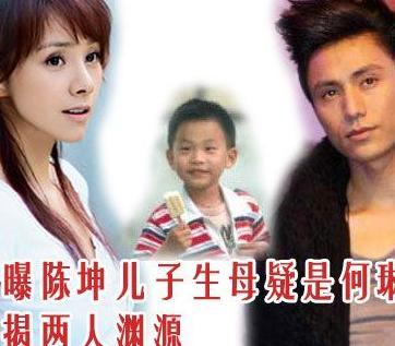 陈坤雅致豪宅内景缺个女主人 疑似陈坤默认儿子生母是何琳