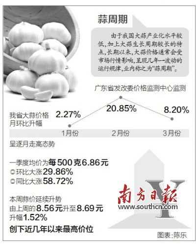 广东大蒜价格目前涨至高位 下半年大蒜价格或