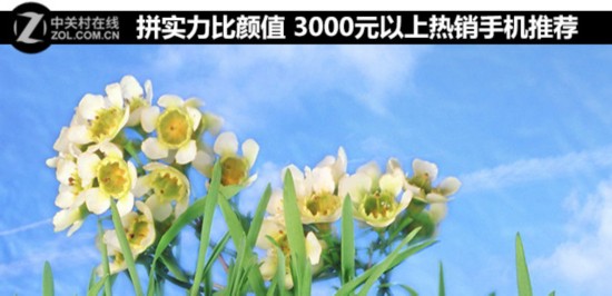 ƴʵֵ 3000ԪֻƼ 