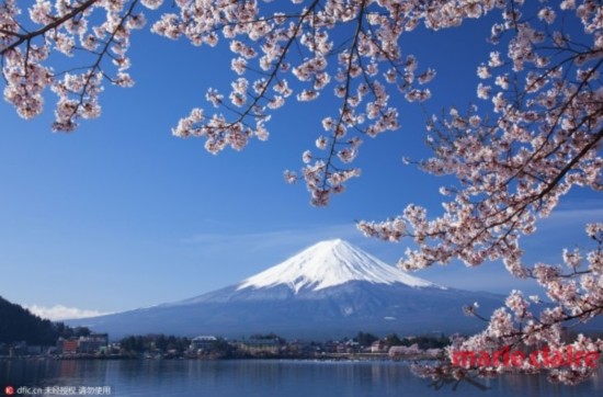 假如日本真的能免签 那我一定要去那里玩个痛