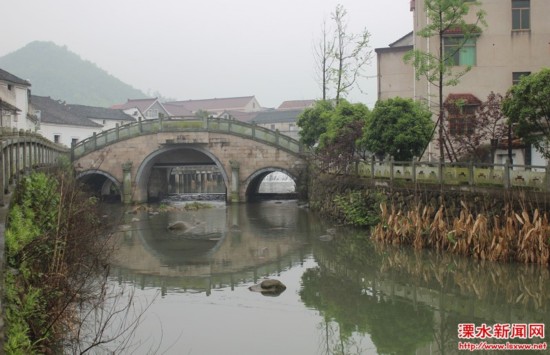 南京溧水学习浙江桐庐经验 加速建设都市田园