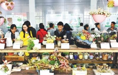 裕丰花市看萌肉