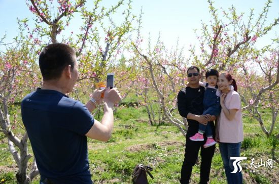 霍尔果斯第二届桃花节开幕--旅游频道_权威全