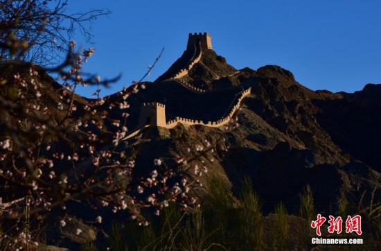 甘肃嘉峪关春意醉游人