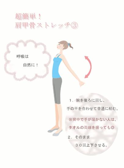 ����b�I�Z�洤