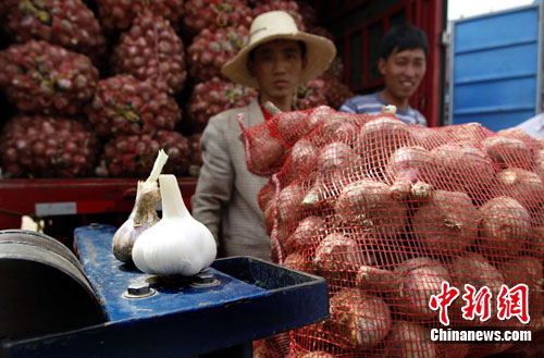 資料圖。<a target='_blank'  data-cke-saved-href='http://www.chinanews.com/' href='http://www.chinanews.com/'><p  align=
