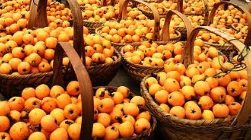 晚春四月最好吃的6种果蔬,再不吃就过季了!