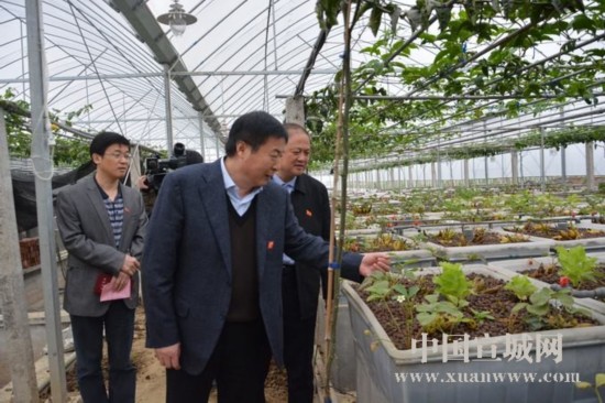 姚玉舟到郎溪县带案下访 倾听群众诉求