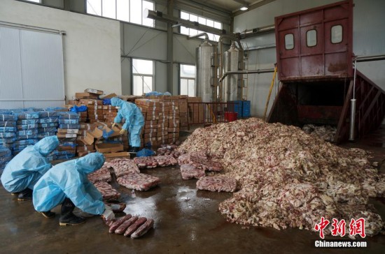 郑州海关集中销毁200余吨走私冻品(高清组图)