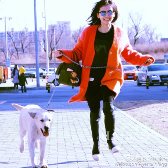 迷上一只曲妖精!《欢乐颂》王子文人气Up Up