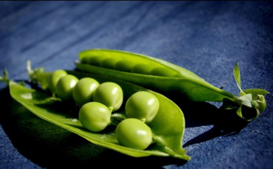 谁是真正的纤维素大王?居然是豌豆