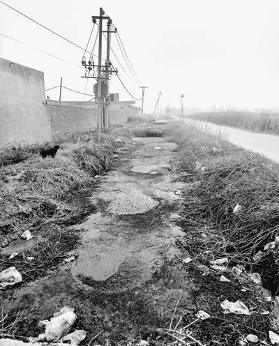 河南南阳林庄村:猪粪排河中 村庄遭污染(曝光)