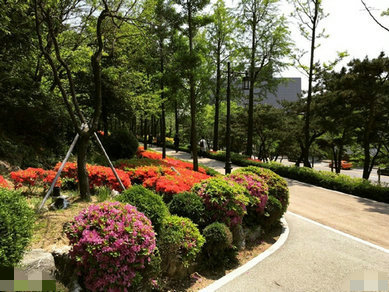 梁咏琪一家游韩国大长腿抢镜 1岁多的女儿So