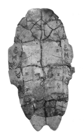 �̴� ����Ϊ�㲷����׿̴� �й����Ҳ���ݲ�