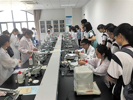“铁英班”研学再出发：“我们是有人文情怀的理科生”