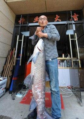 为戒赌钓到螺蛳青 螺蛳青重41.2斤长约150厘米