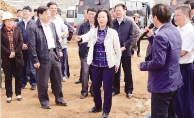 萂村人口数量_萂村图片(2)