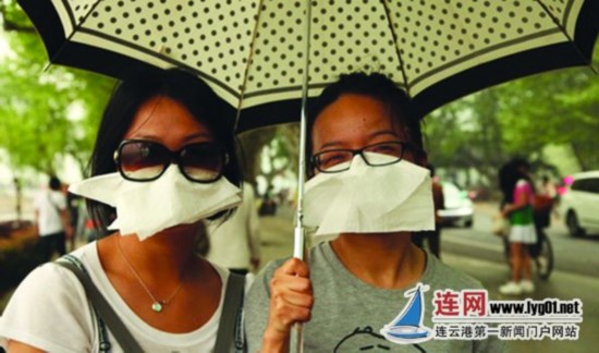 连云港杨絮漫天飞舞惹人烦 专家:将持续一个月