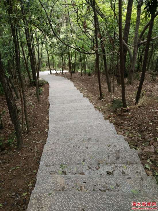 南京溧水无想寺水库环线步道建成 全长约570米