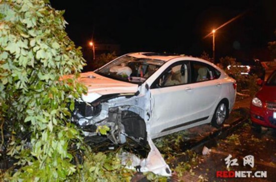 株洲男子无证毒驾肇事找人顶包被交警识破