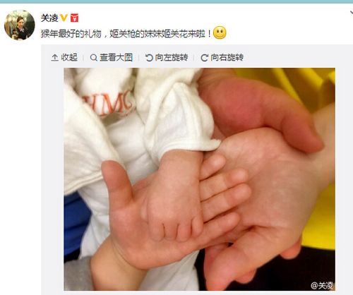 大S即将临盆待产 盘点2016年迎来二胎的女明星们