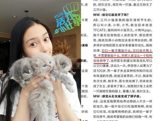 baby被炮轰没脑筋 网友：折耳猫被榨取私家繁殖