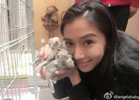 baby被炮轰没脑子 爱猫取名TFCATS像某个组