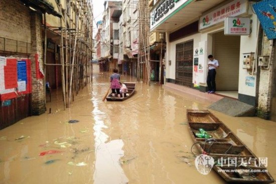桂江苍梧段水位超出行小学警戒报名--人民网广居民受阻天鹅湾图片