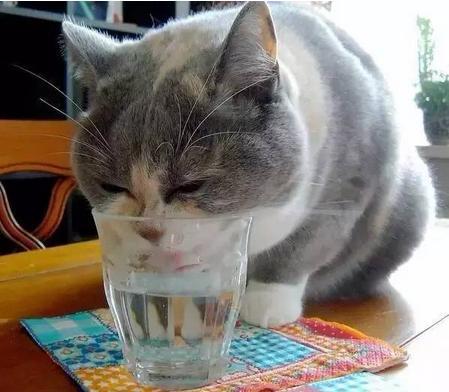 90后姑娘爆改出租屋走红 出租屋改造小技巧迅