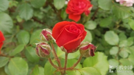 三星S7 edge对比vivo Xplay5,巅峰之战