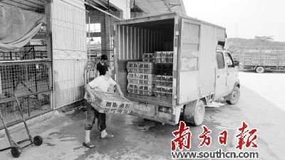 惠州惠陽查處一違法“三鳥”市場 3萬隻禽鳥被查封