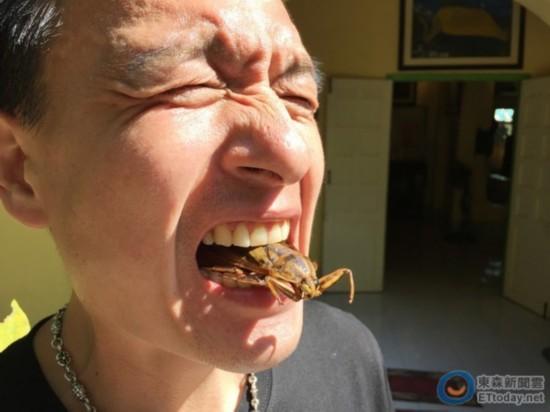 成都查获巨型蟑螂 台男星吃巨型蟑螂全程曝光