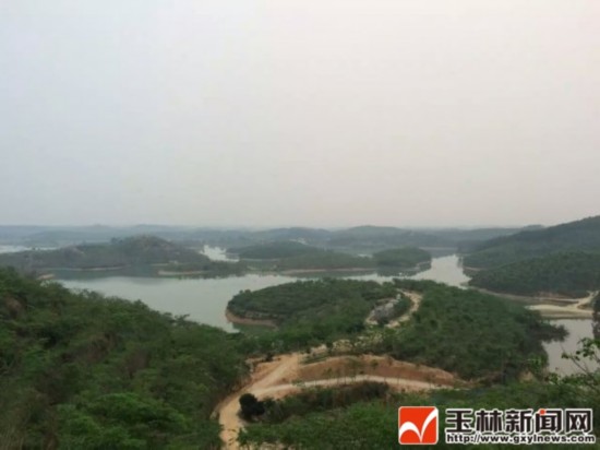 博白老虎头水库:来了会怦然心动的地方 广西桂人堂金花茶产业集团