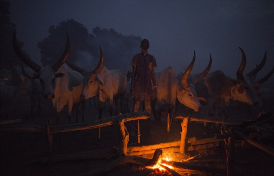 苏丹部落民众以牛为生 用牛尿洗澡(高清组图)